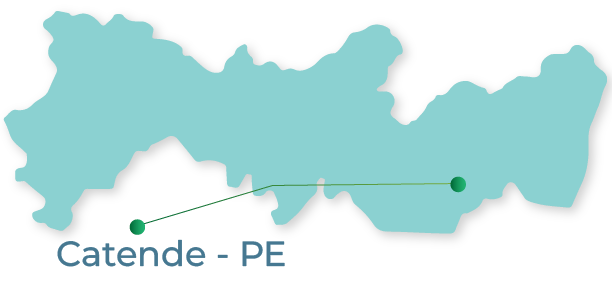 Mapa de Atuação